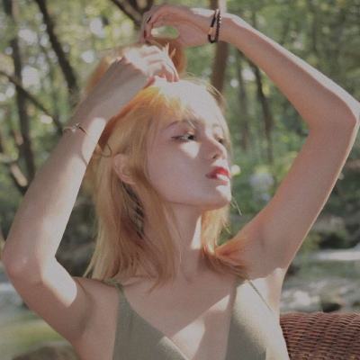 澳门天天免费资料大全下载下载手机版