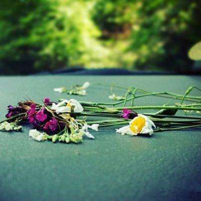 半岛官网最新下载