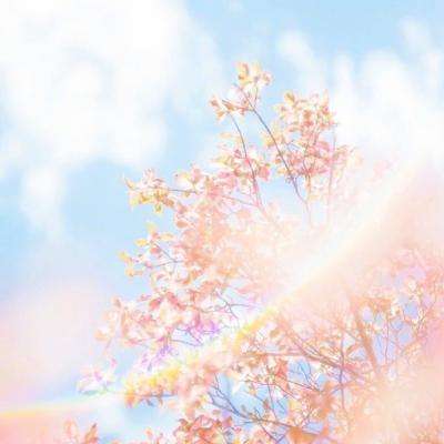 新世纪棋牌下载手机版