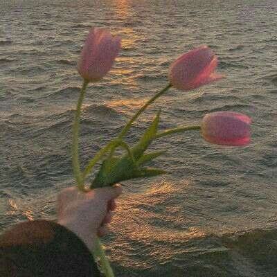 pg棋牌软件平台