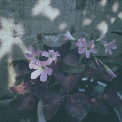 半导体育官方app截图