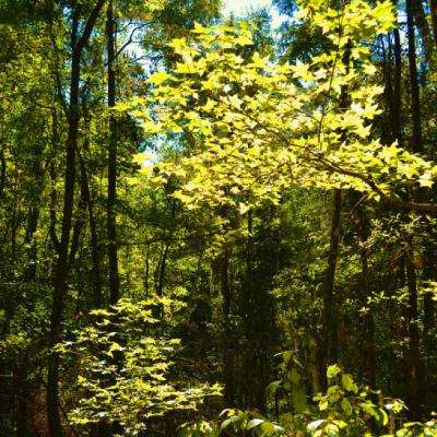 爱游戏全站-登录入口