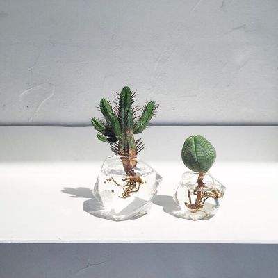 金博宝官网手机app下载