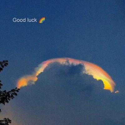 新版江南app登录