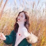 B体育手机版在线app下载